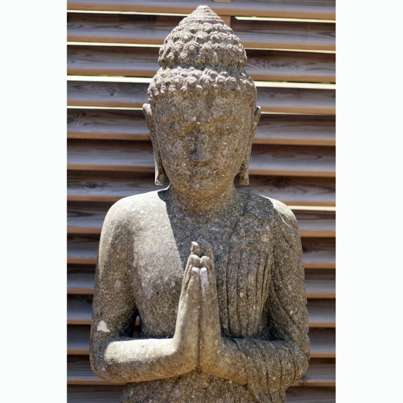 Bouddha debout – Image 4