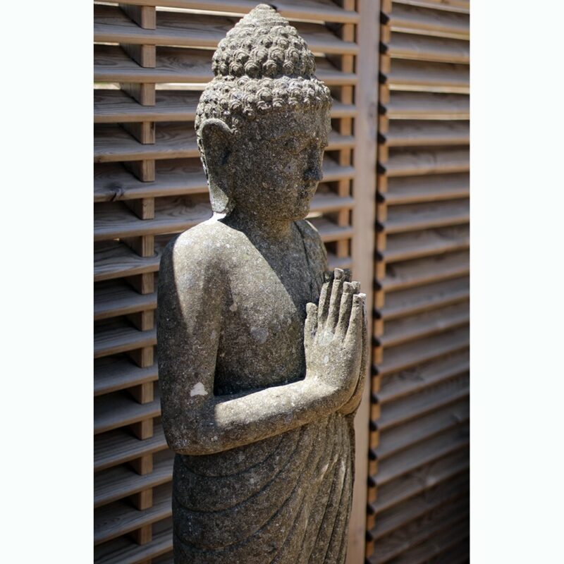 Bouddha debout – Image 3