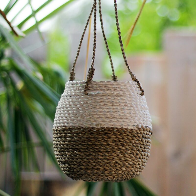 petit panier cache pot osier