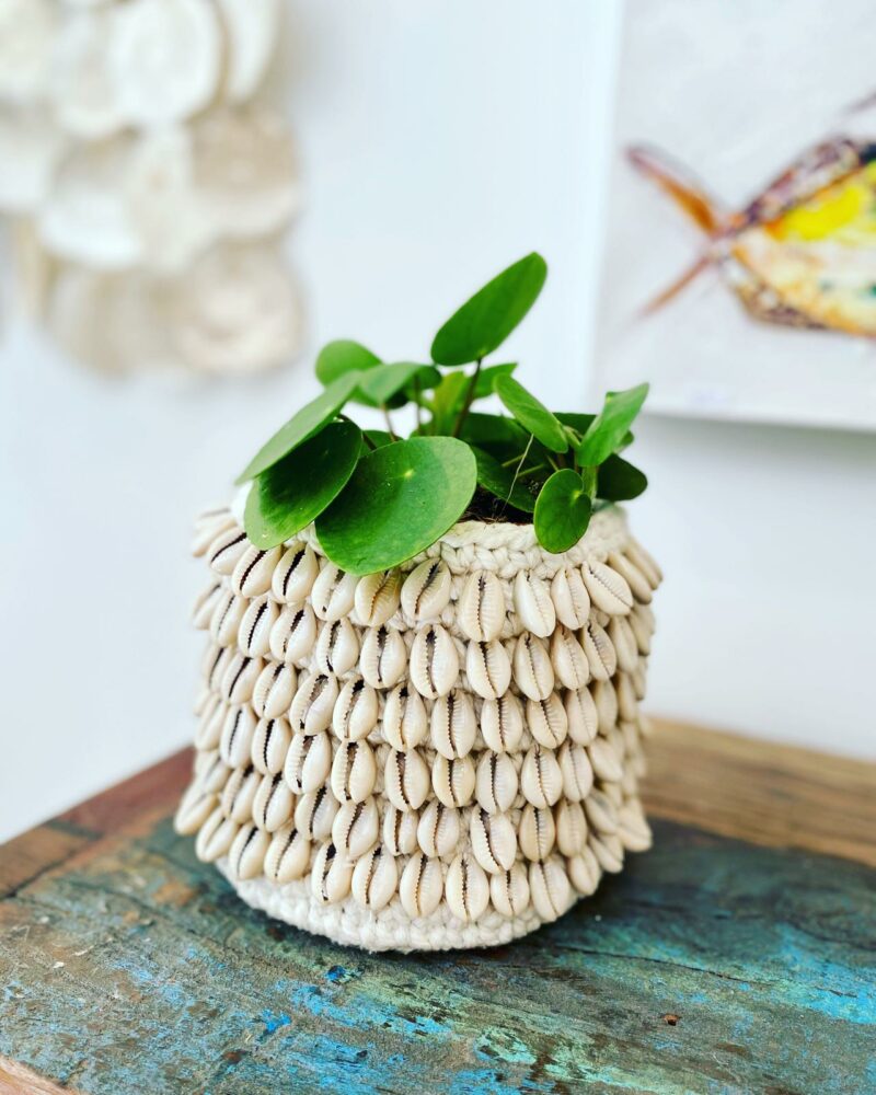 Cache-pot en coton & coquillages – Image 2