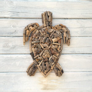 Driftwood turle
