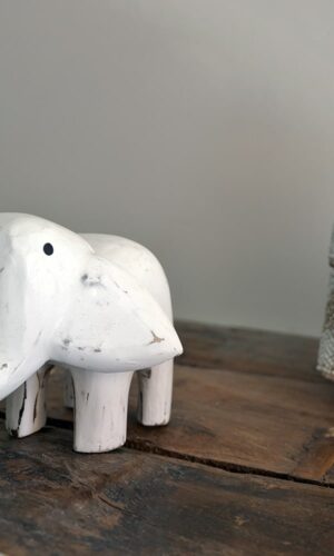 petit elephant blanc