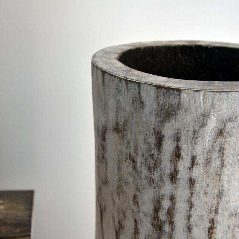 tronc palmier déco