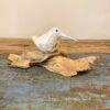 Oiseau sur la branche – Image 2