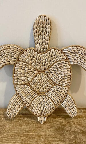 Tortue murale en coquillages