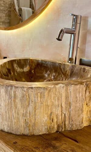 vasque en bois fossilisé