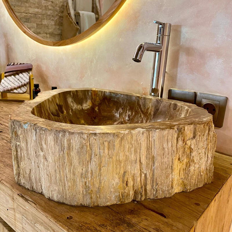 vasque en bois fossilisé