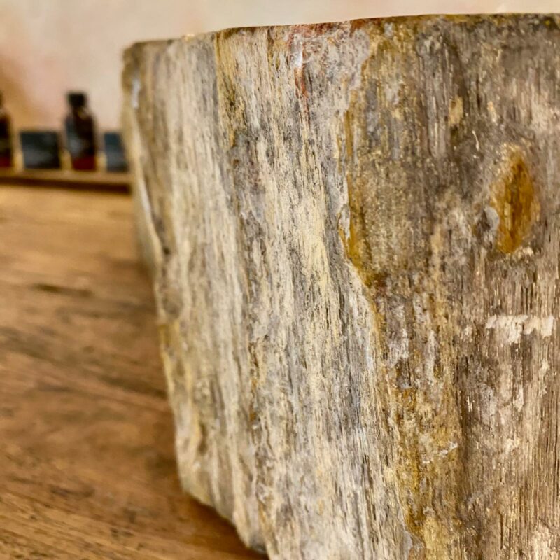 Vasque en bois fossilisé – Image 2