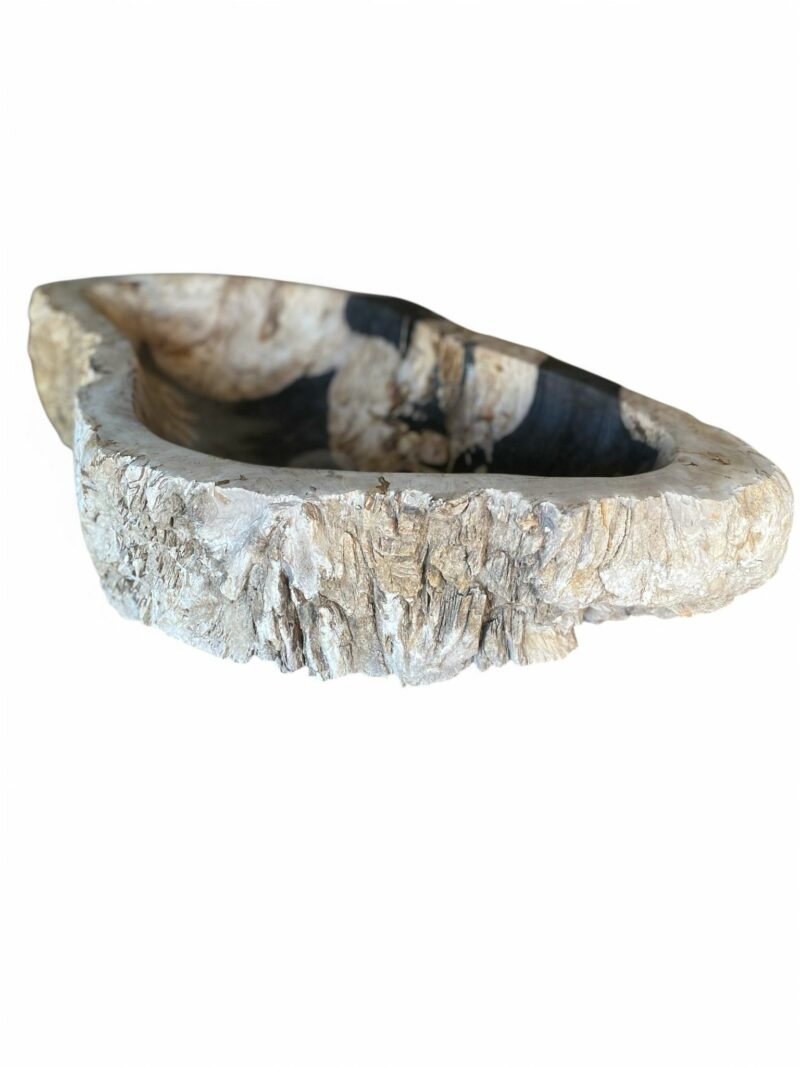 Vasque en bois fossilisé – Image 5