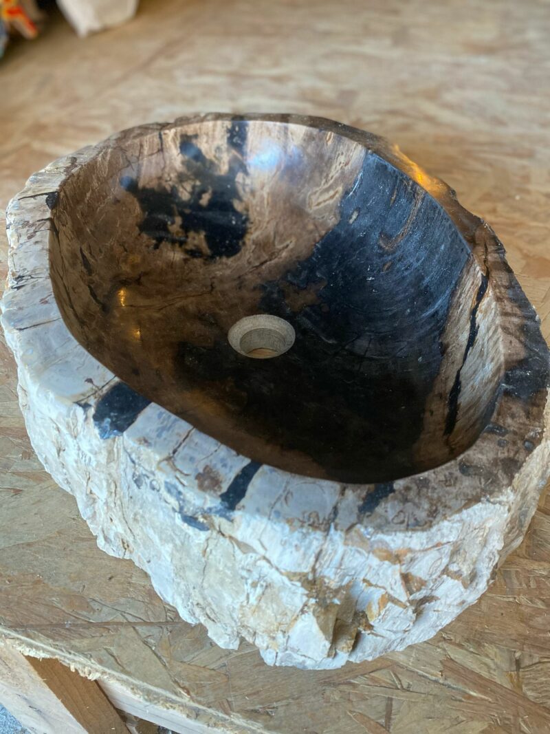 Vasque en bois fossilisé – Image 4
