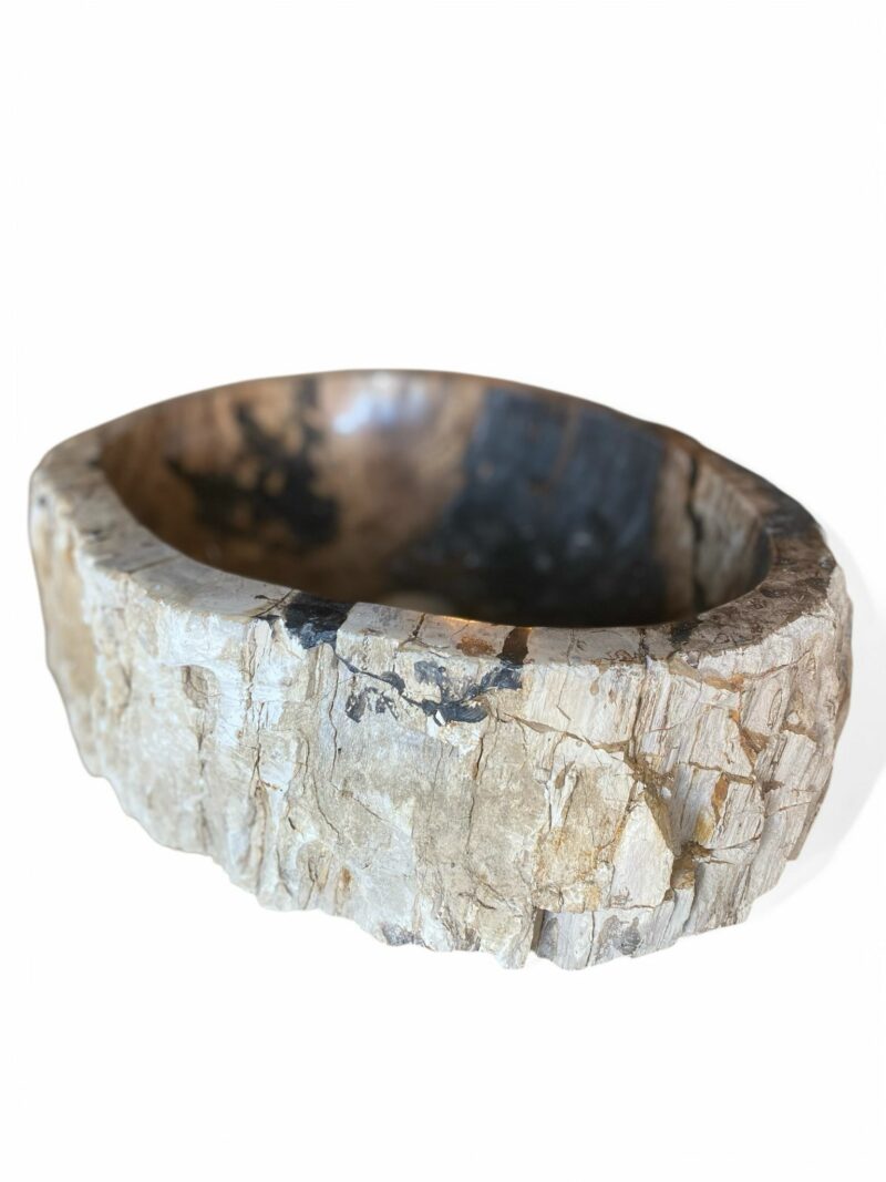 Vasque en bois fossilisé – Image 3