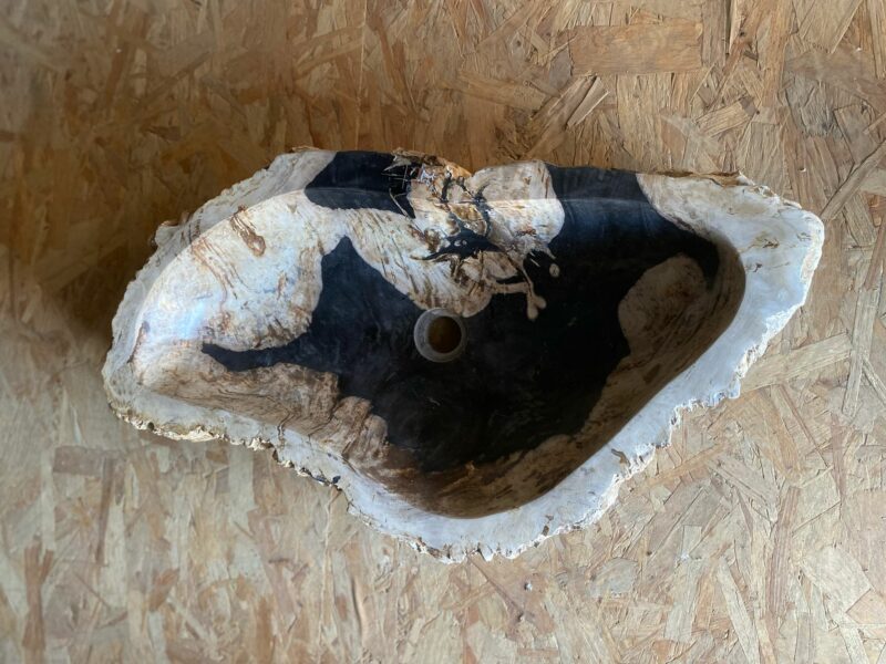 Vasque en bois fossilisé – Image 6