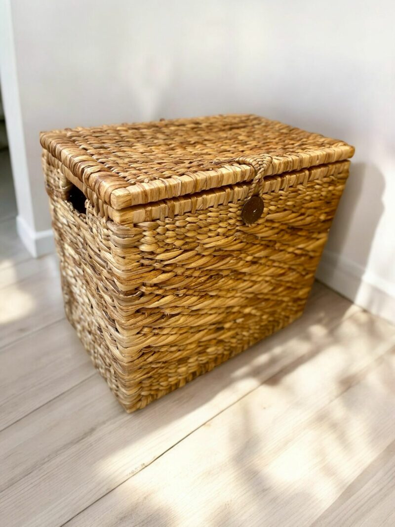 Coffre de rangement – Image 2