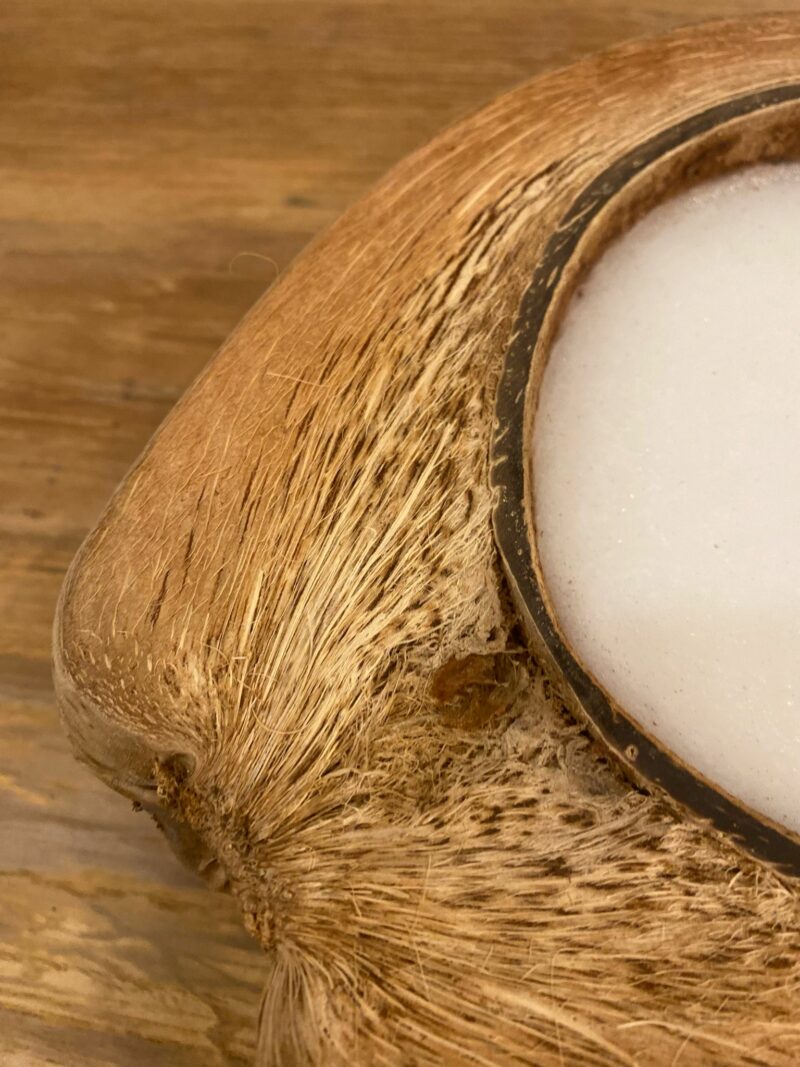 Bougie en noix de coco – Image 3