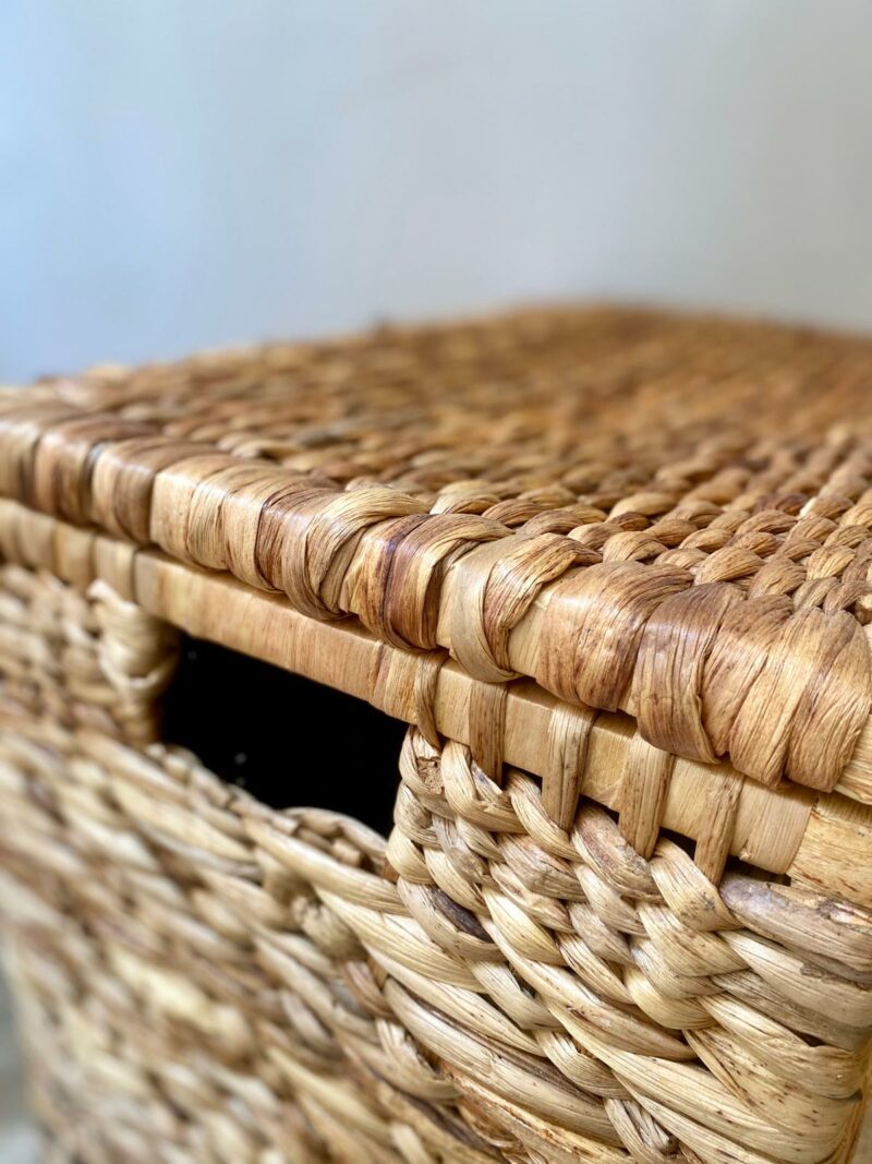 Coffre de rangement – Image 4