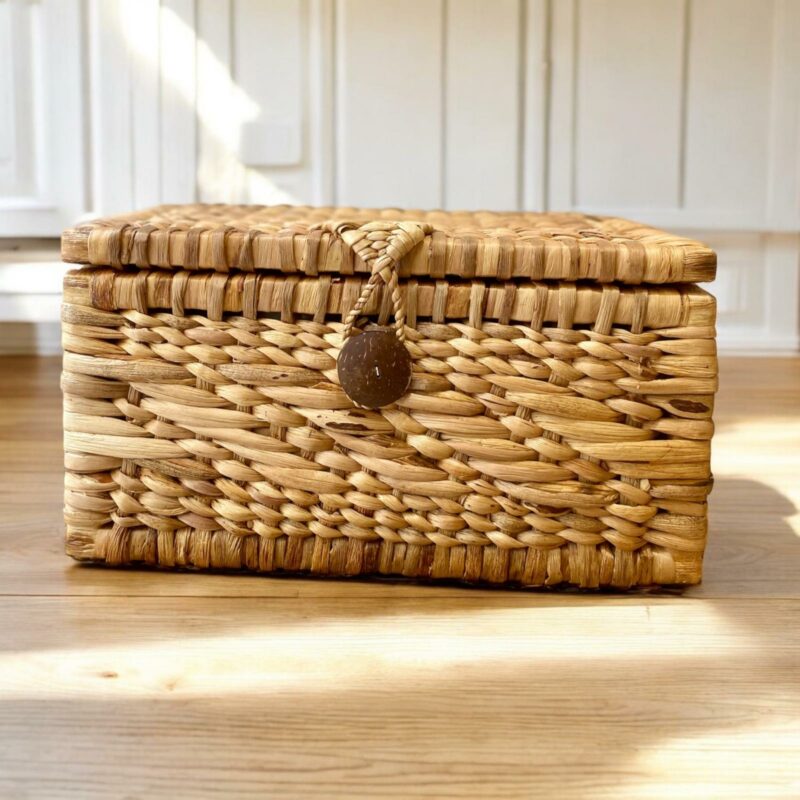 Coffre de rangement – Image 3