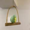 Oiseau suspendu