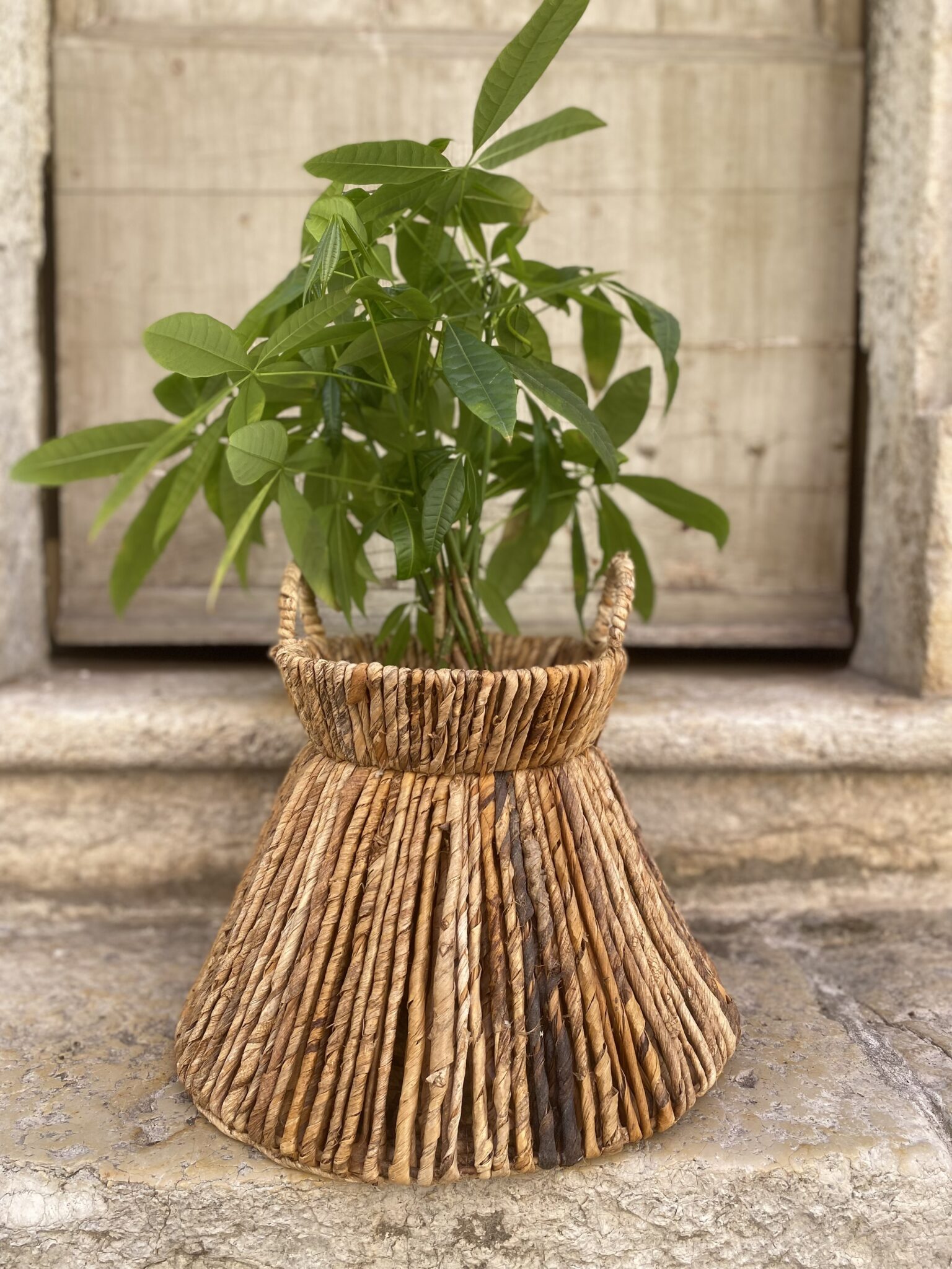 Panier forme géométrique - Modèle 1 – Image 3