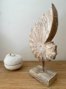 coquillage sculpture bois