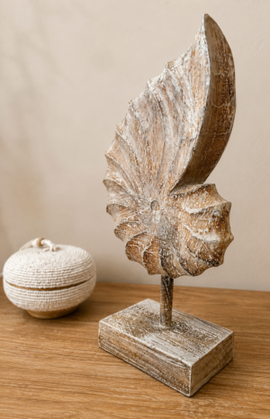 Nautilus sculpté en bois