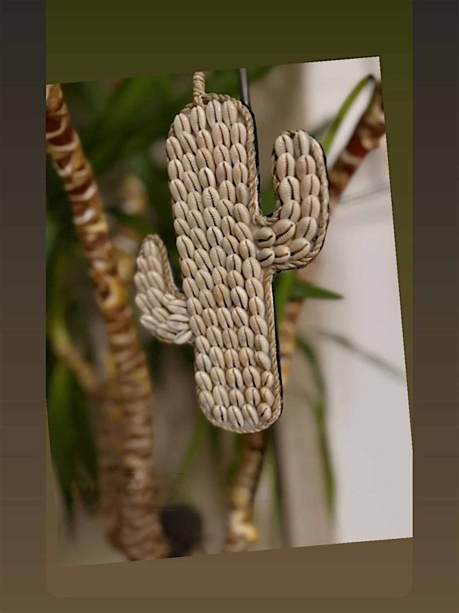 Cactus à suspendre – Image 3