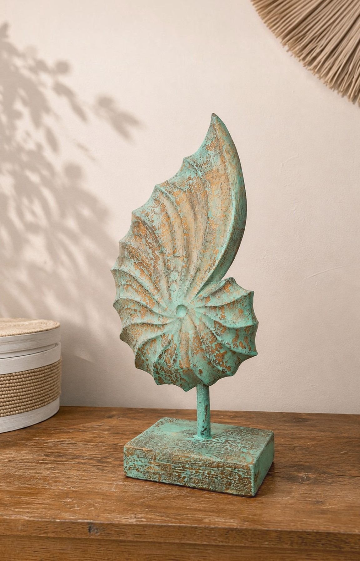 Nautilus sculpté en bois – Image 6