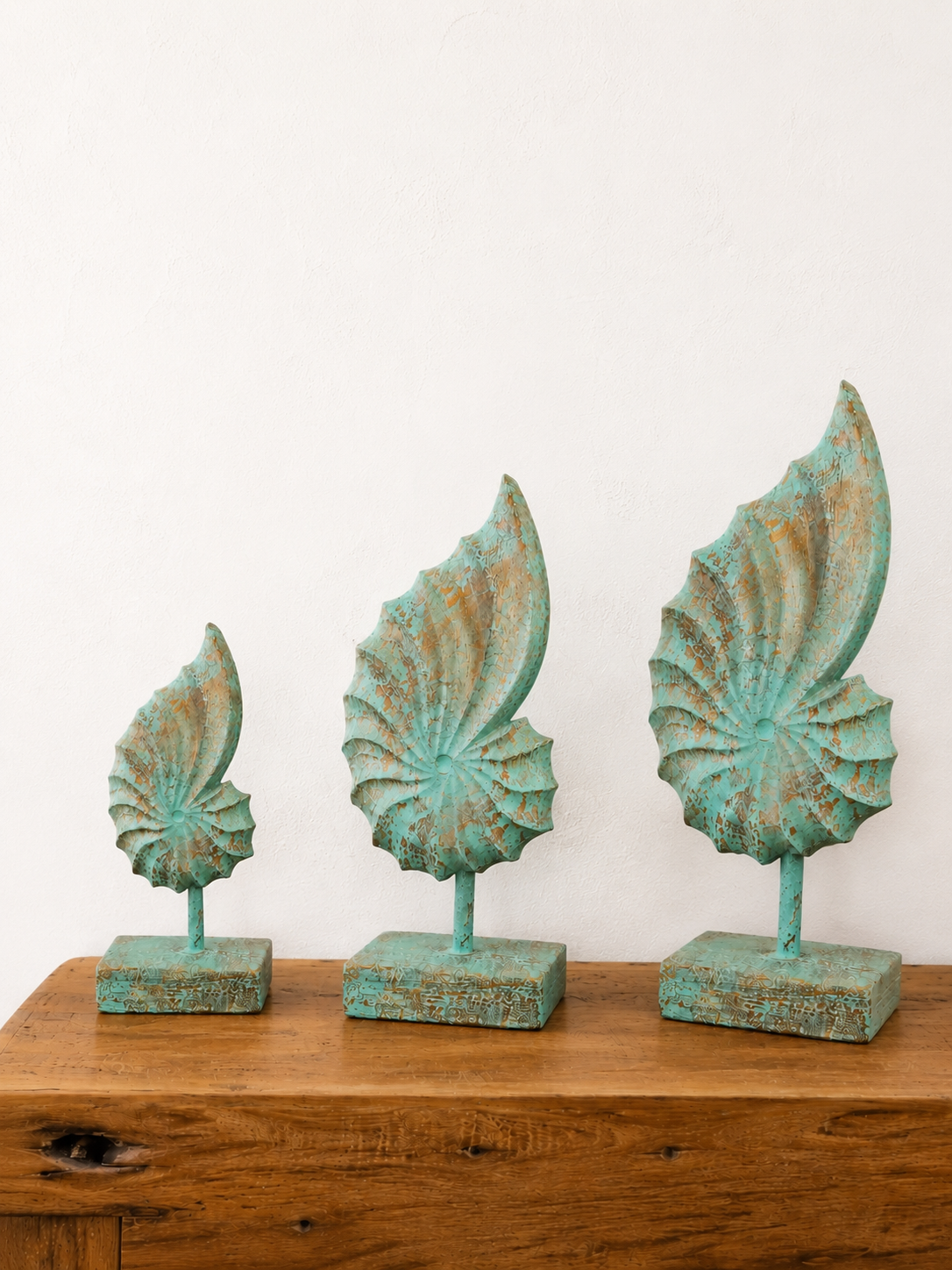 Nautilus sculpté en bois – Image 10